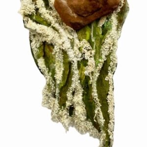 Rectangular Rock at Quarry Pool